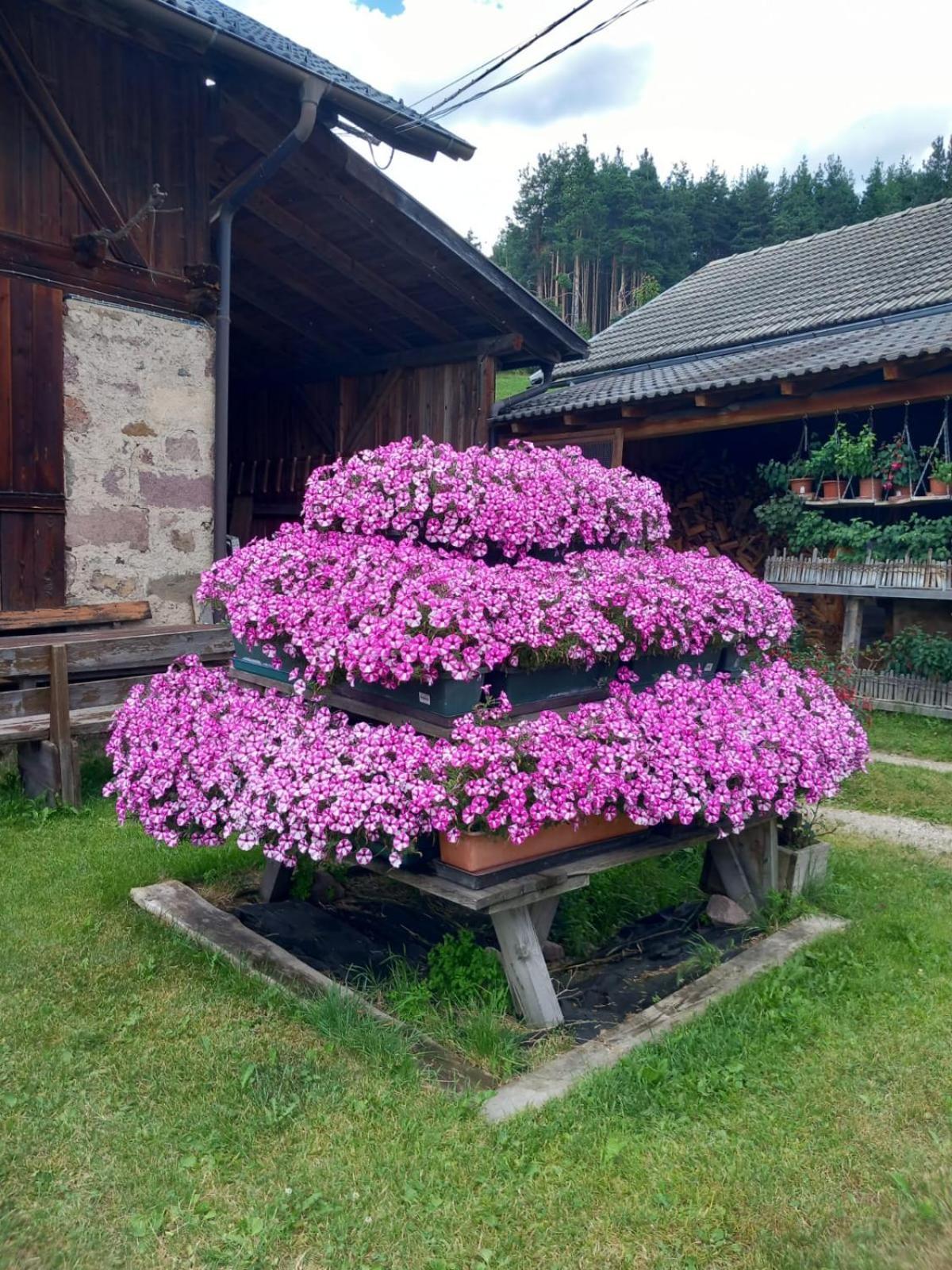 Schartnerhof Villa Колалбо Екстериор снимка